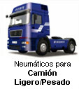 Camión Ligero/Pesado