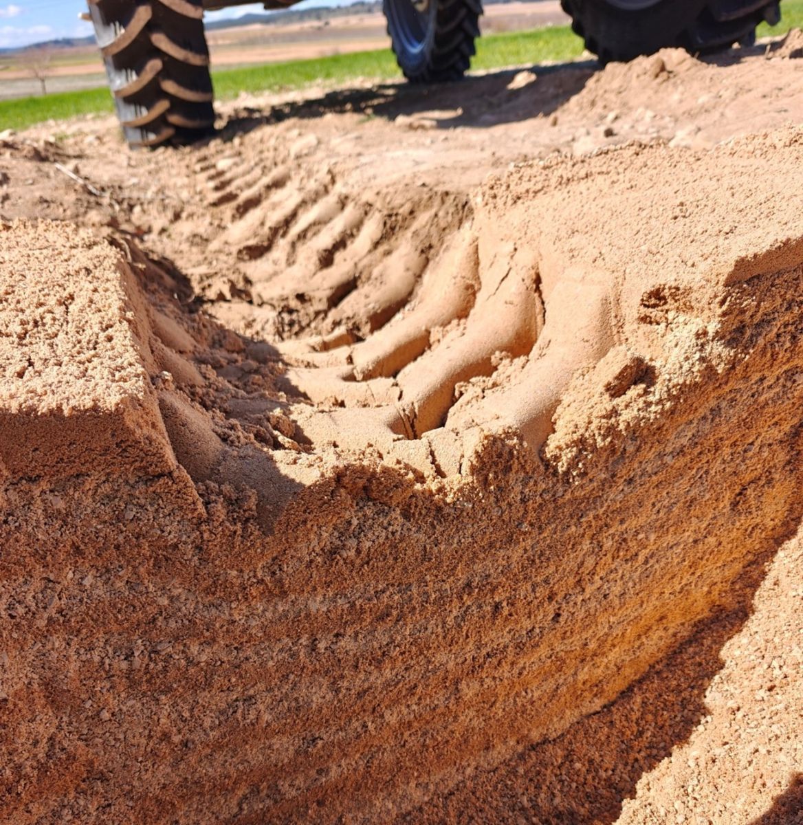 Descripción de la imagen