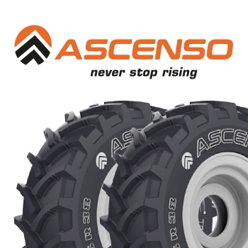 |Novedad| ASCENSO