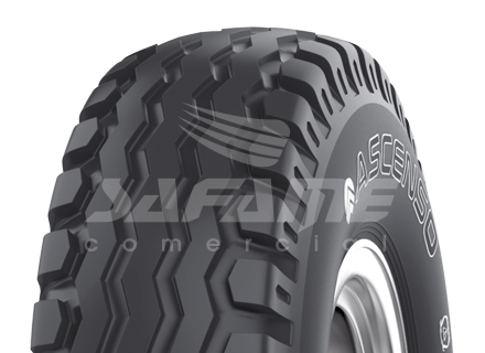 10,0/80-12 10L IMB160 TL 121/109A8
